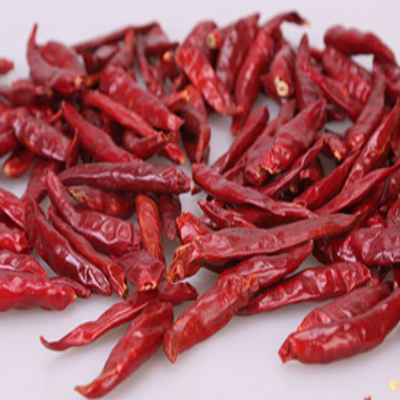 Frozen Red Chili (Without Stem) High Quality 