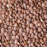 Brown Lentil (Sabut Masoor)