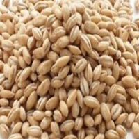 Pearled Soft Wheat