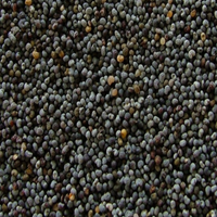 Poppy Seeds