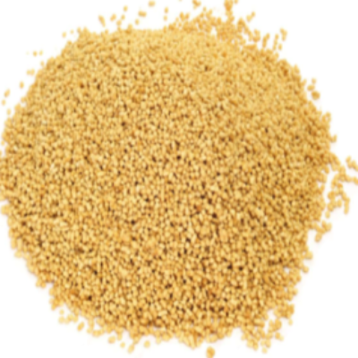 Lecithin Soy (GMO Free)