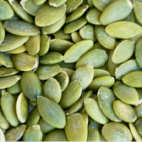 Pumpkin Seeds